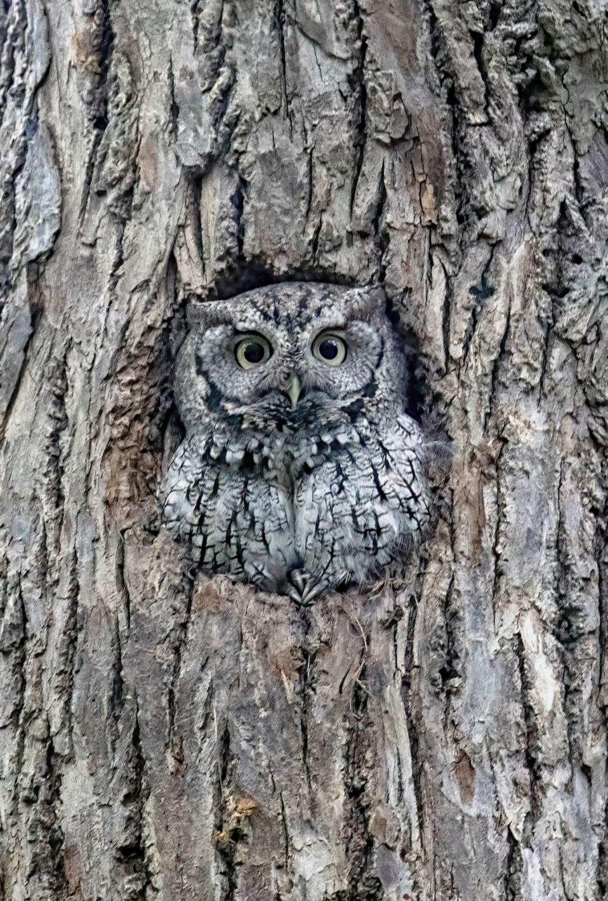 ماثيو ريكارد يكشف عن 50 عاماً من التصوير التأملي بين الهيمالايا والبحث الروحي