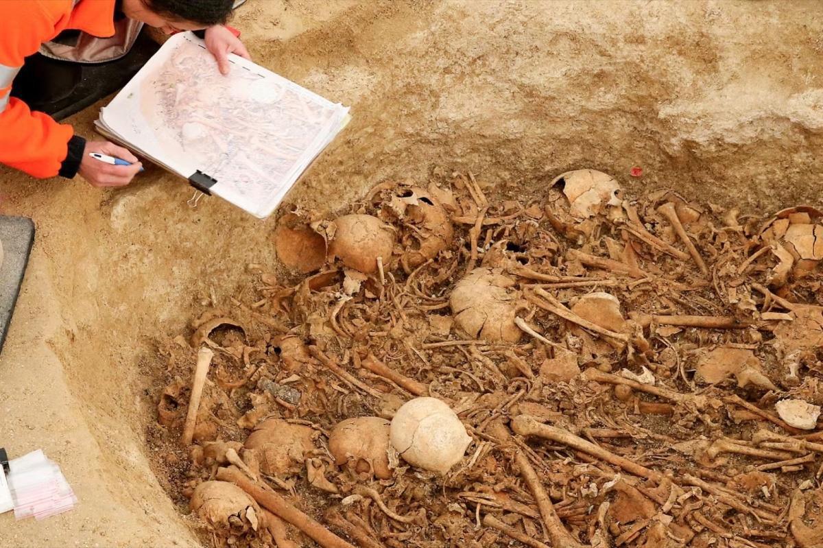 هل ابتكر إنسان العصر الحجري الحديث الزواج الأحادي؟ هل ابتكر إنسان العصر الحجري الحديث الزواج الأحادي؟