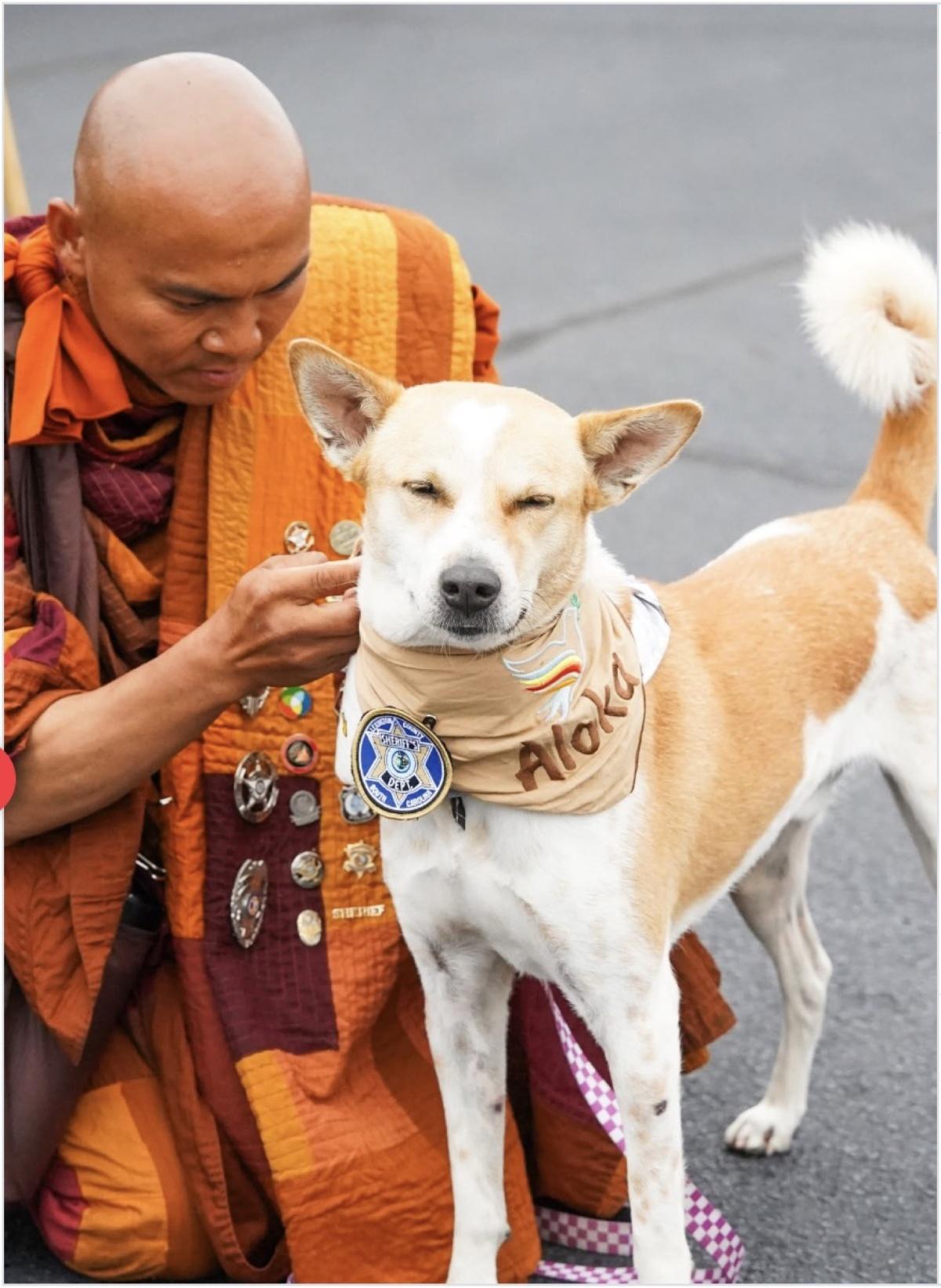 رهبان بوذيون يبلغون منتصف مسيرة السلام عبر أمريكا