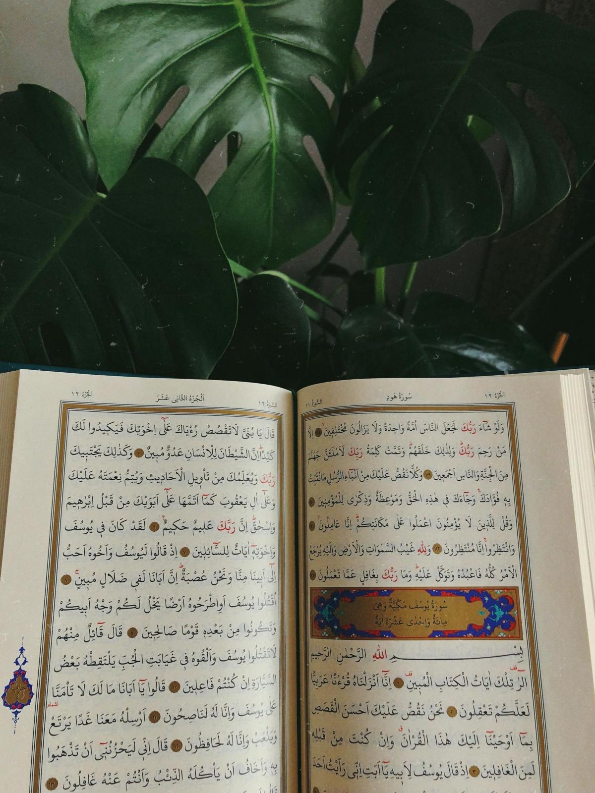 نشرة سُبْحة #14