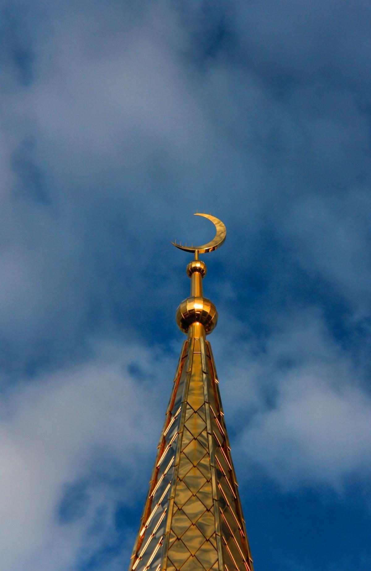 نشرة سُبْحة 87