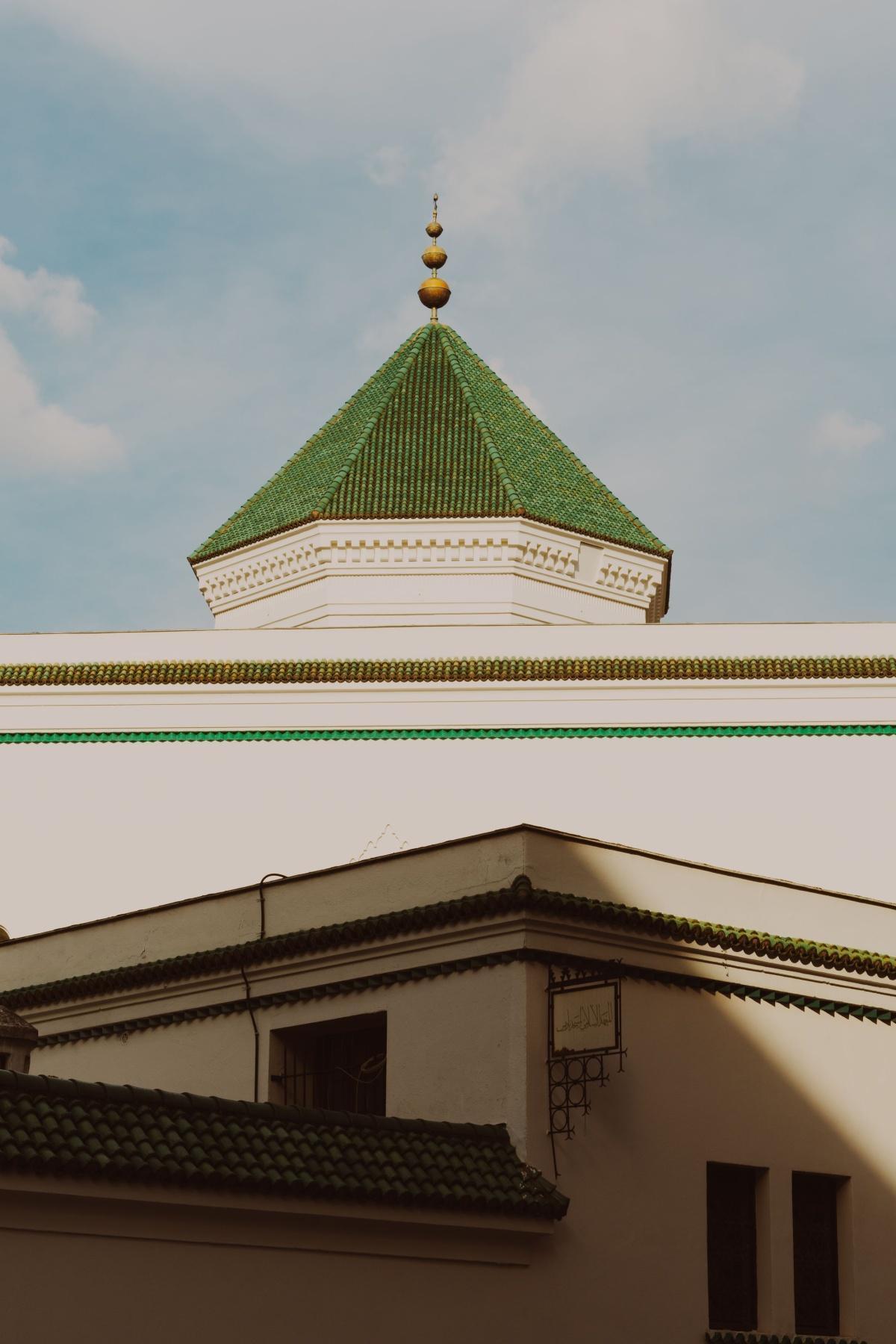 نشرة سُبْحة 88