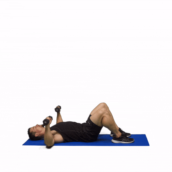 Day 15 - Full Body: Dumbbells recommended