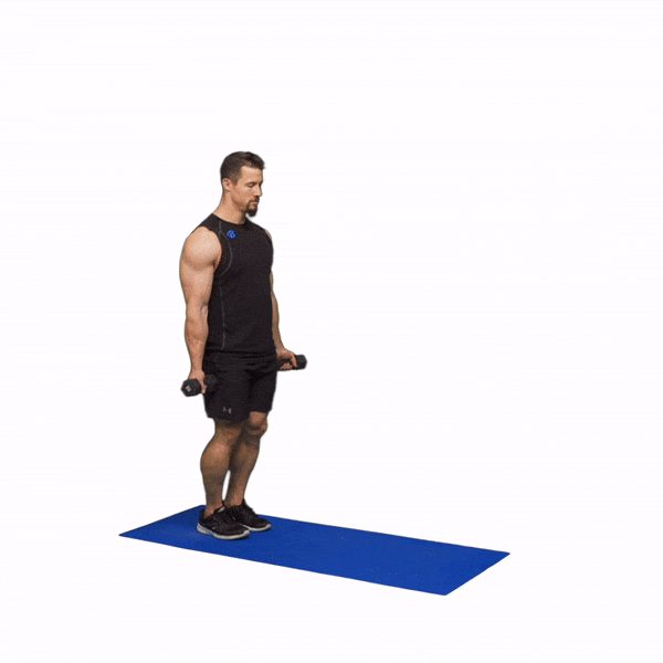 Day 15 - Full Body: Dumbbells recommended