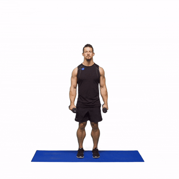 Day 15 - Full Body: Dumbbells recommended