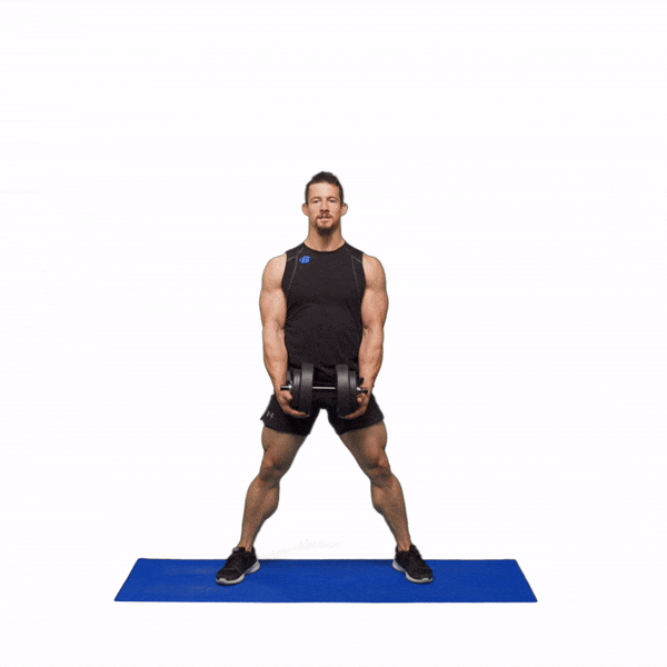 Day 15 - Full Body: Dumbbells recommended