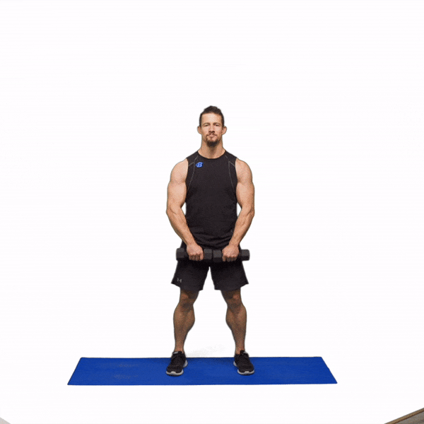 Day 15 - Full Body: Dumbbells recommended