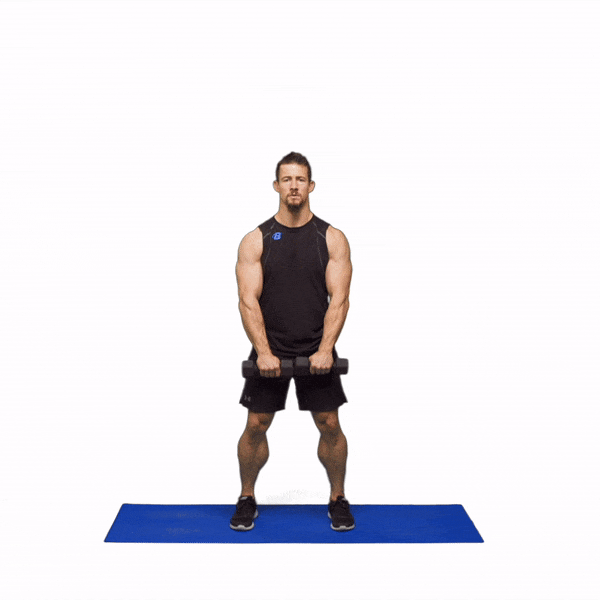 Day 22 - Shoulders & Abs