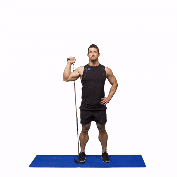 Day 22 - Shoulders & Abs