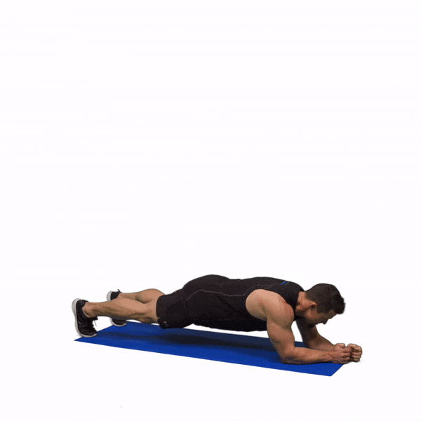 Day 10 - Core Day! Plank it Up!