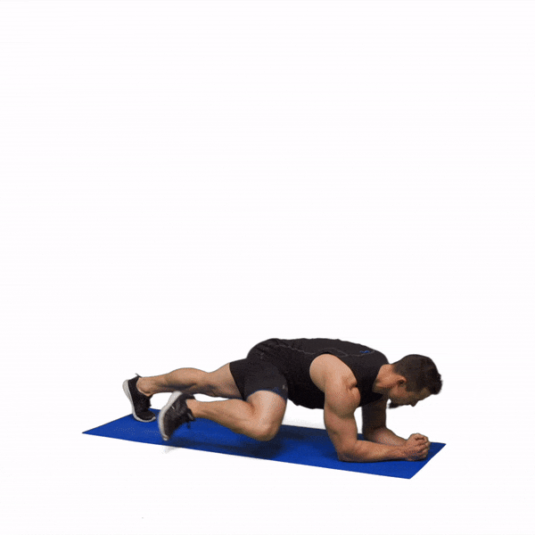 Day 10 - Core Day! Plank it Up!