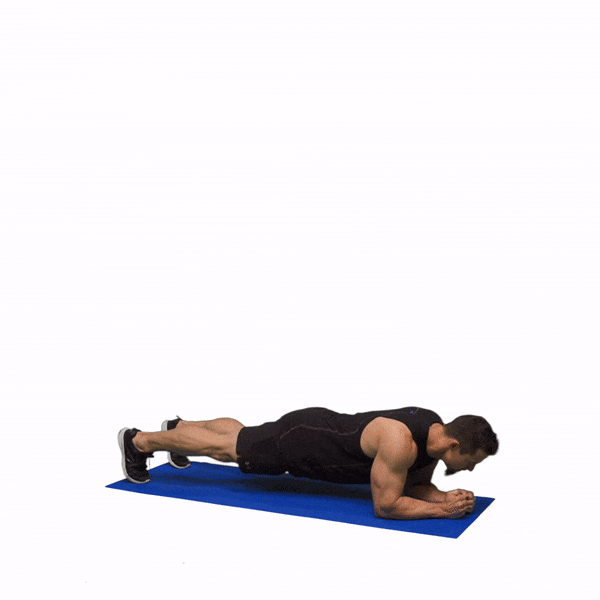 Day 10 - Core Day! Plank it Up!