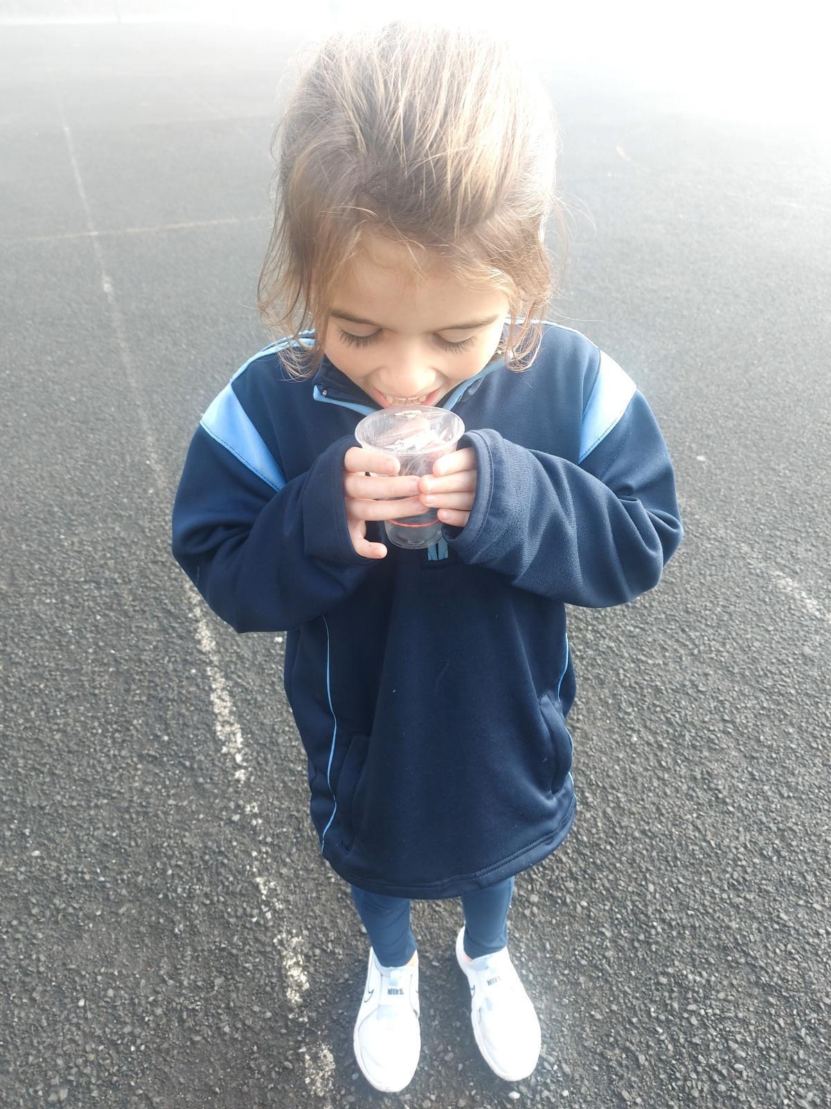 Science Week 2024