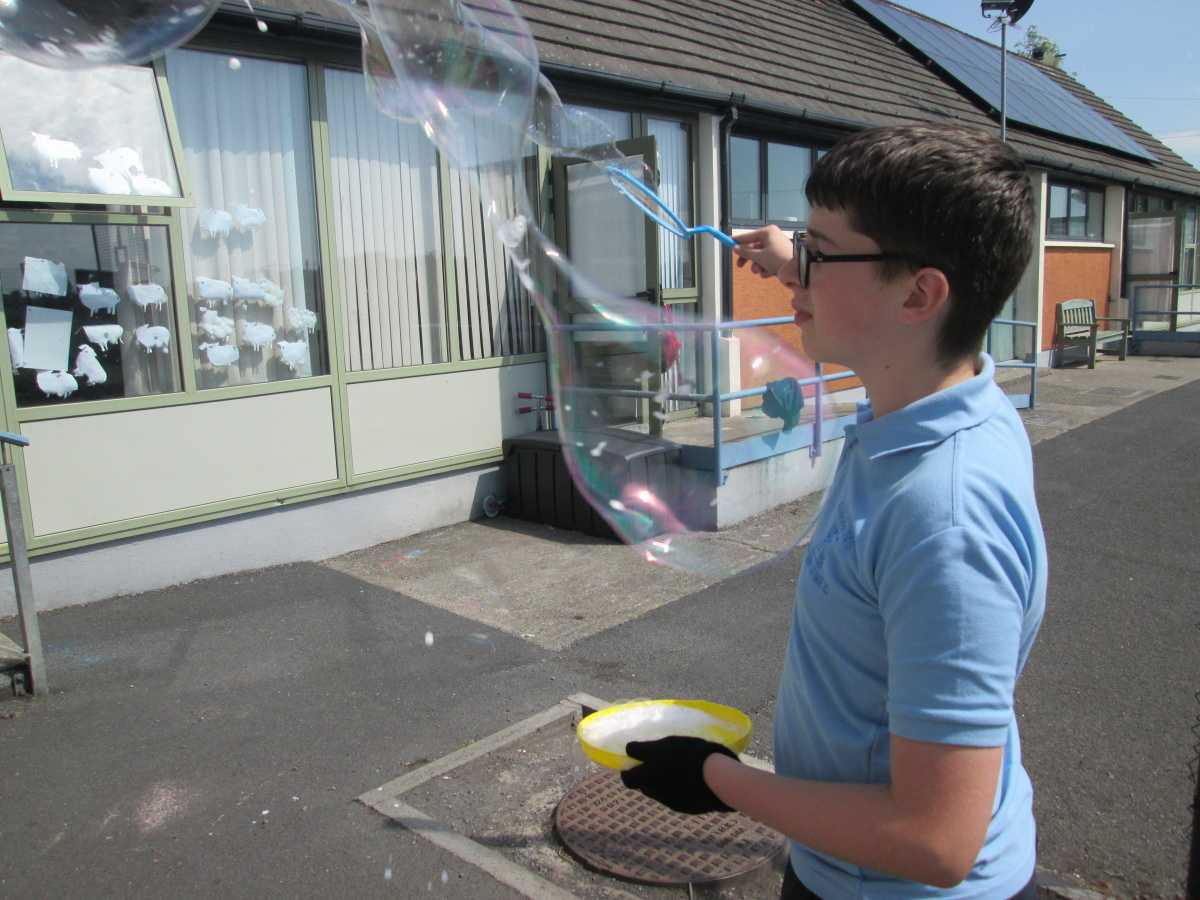Bubbles in the Sun