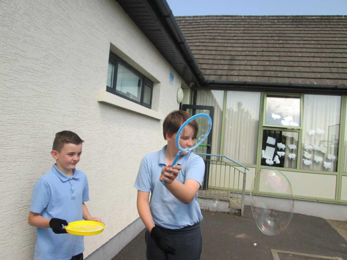 Bubbles in the Sun