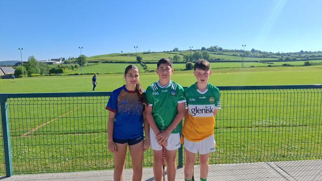 East Limerick Hurling Skills Competition