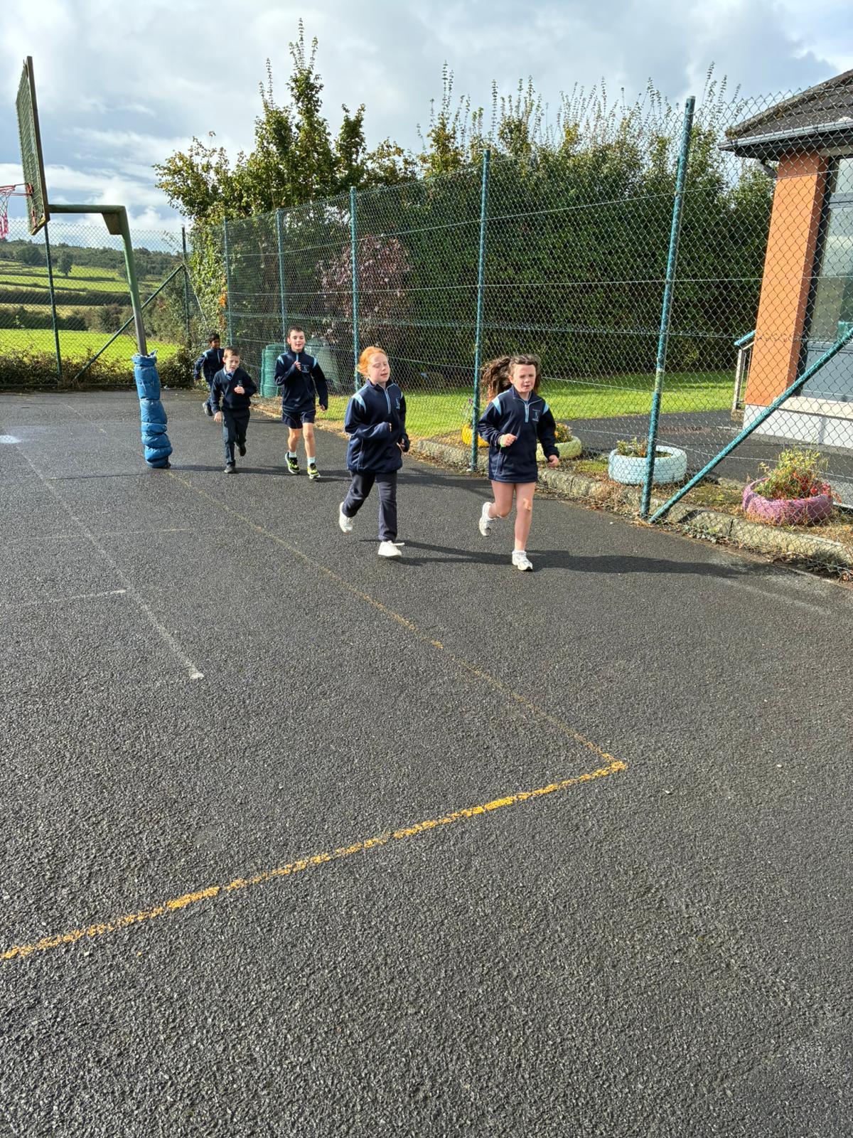 Cross Country Training 