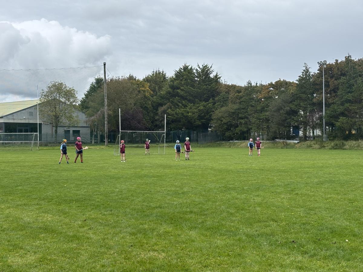 Camogie Cup Winners Camogie Cup Winners
