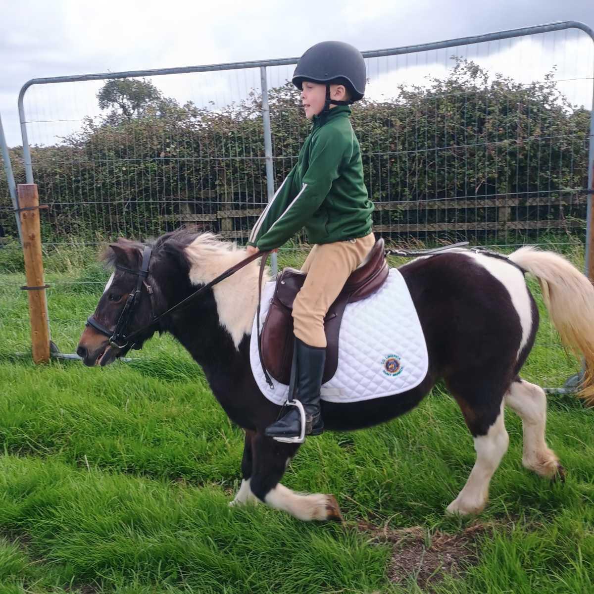 Our second class superstar at The Ploughing Championships Our second class superstar at The Ploughing Championships
