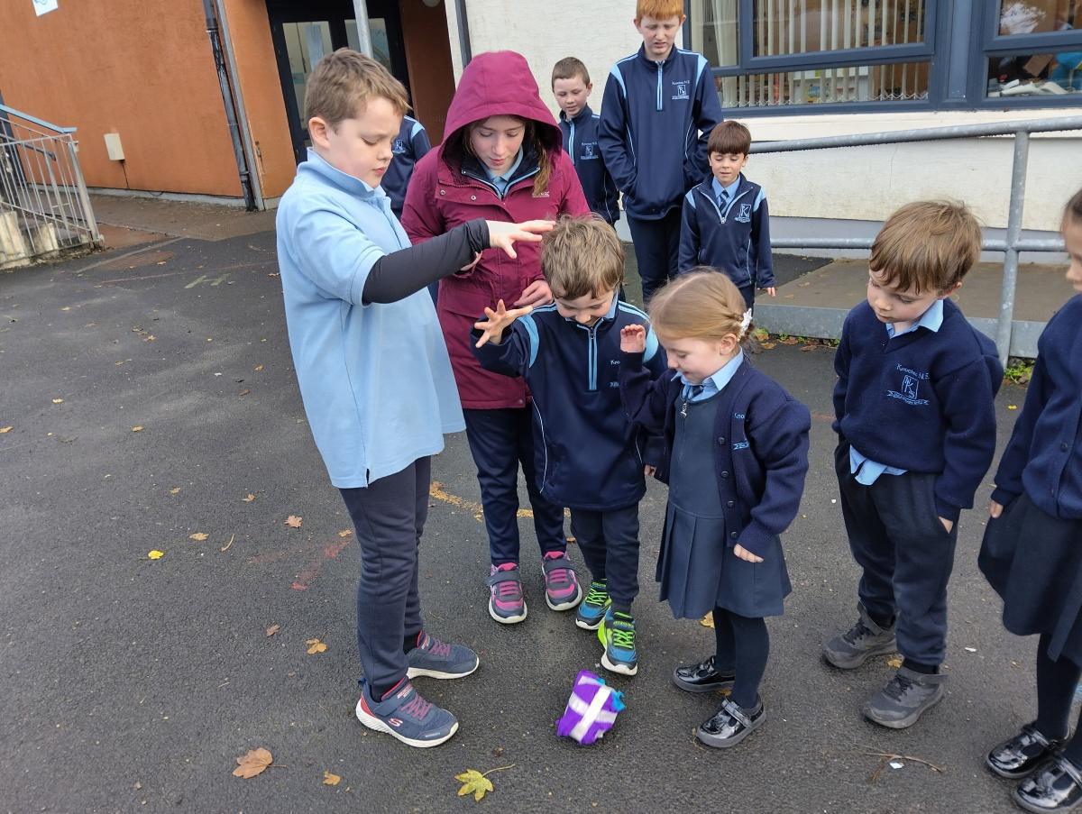It's Science week- we did the egg drop challenge!