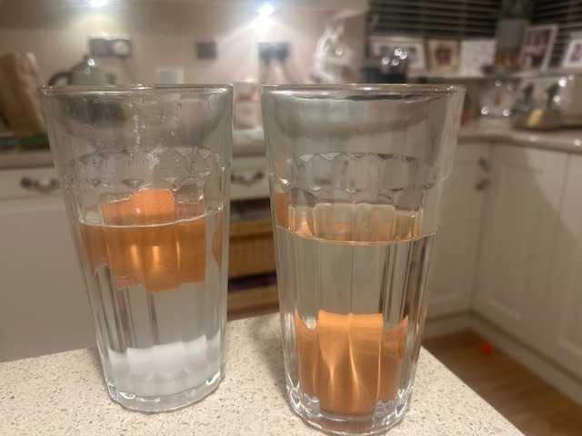 Science Week Homework Pictures