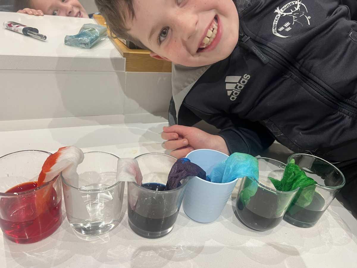 Science Week Homework Pictures