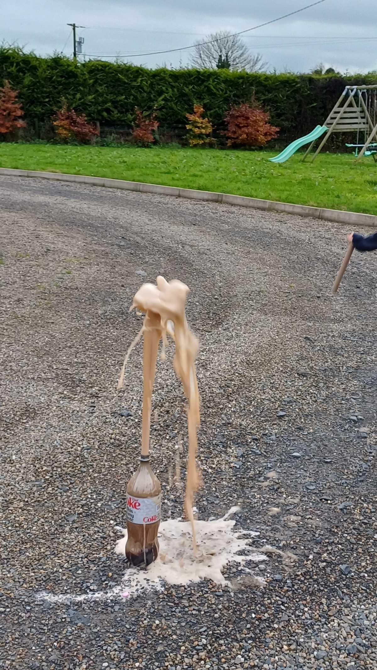 Science Week Homework Pictures