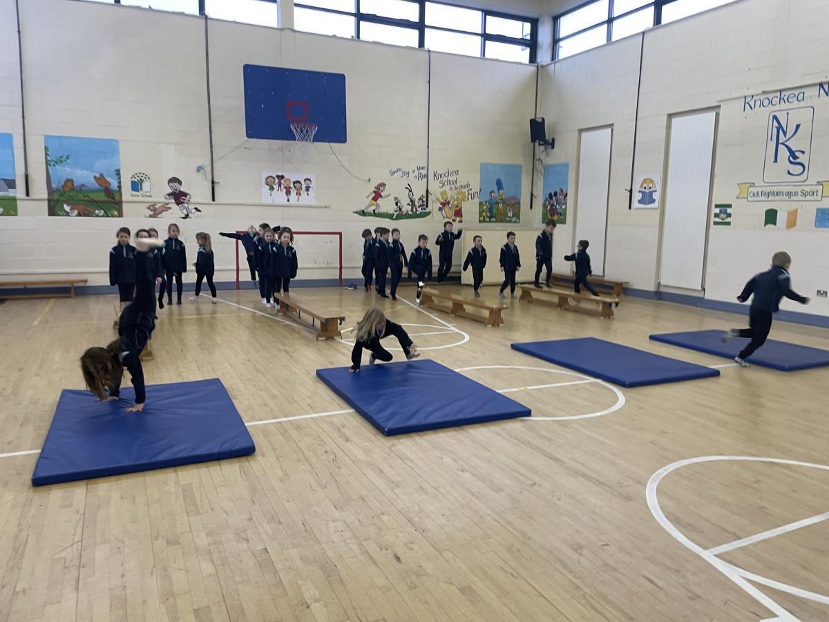 Exploring Gymnastics! 