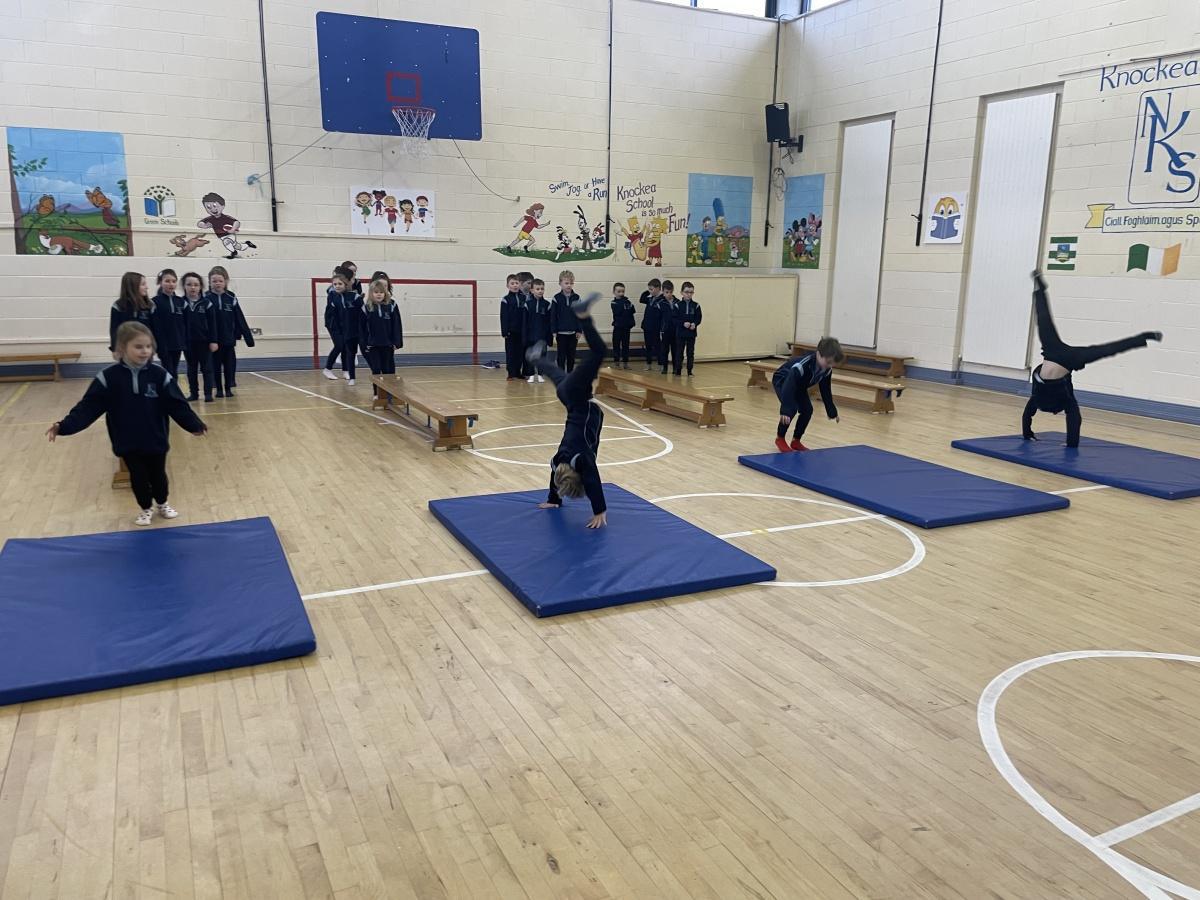 Exploring Gymnastics! 