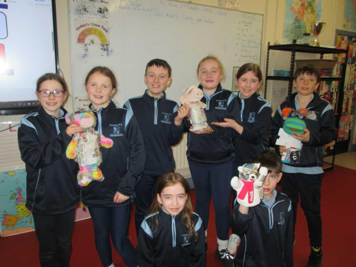 Wellness Day and Teddy Fashion Show