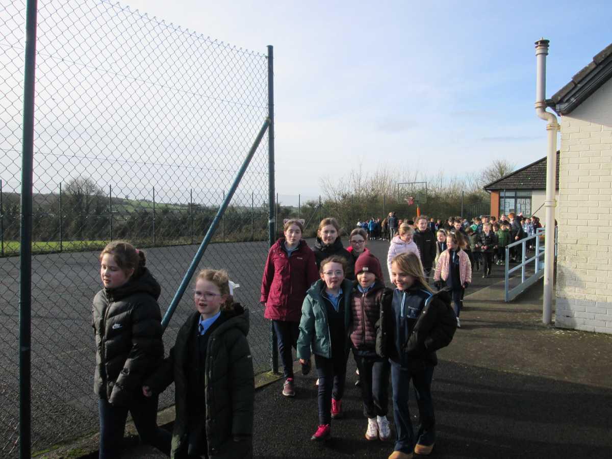 Wellness Day and Teddy Fashion Show