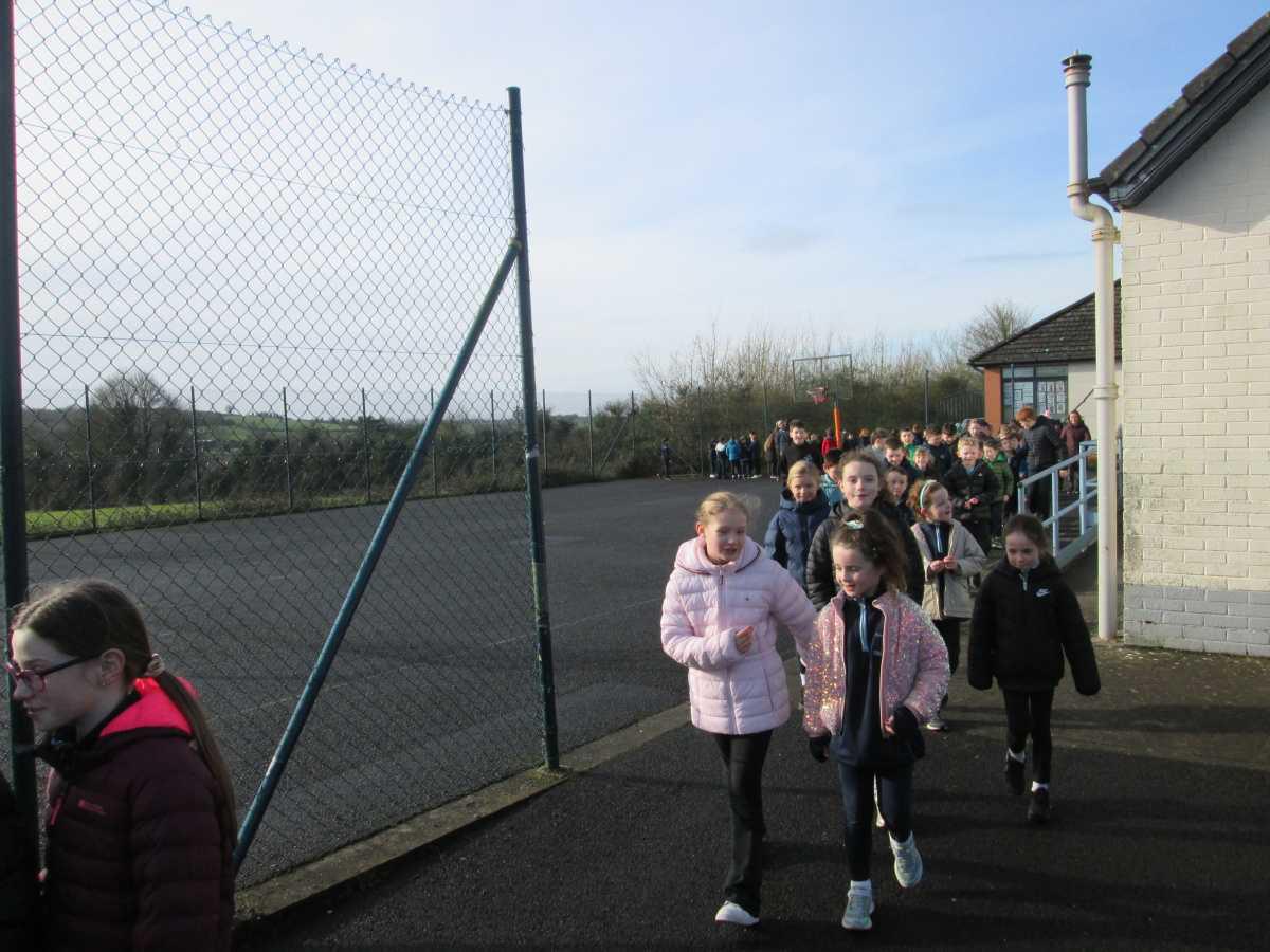 Wellness Day and Teddy Fashion Show