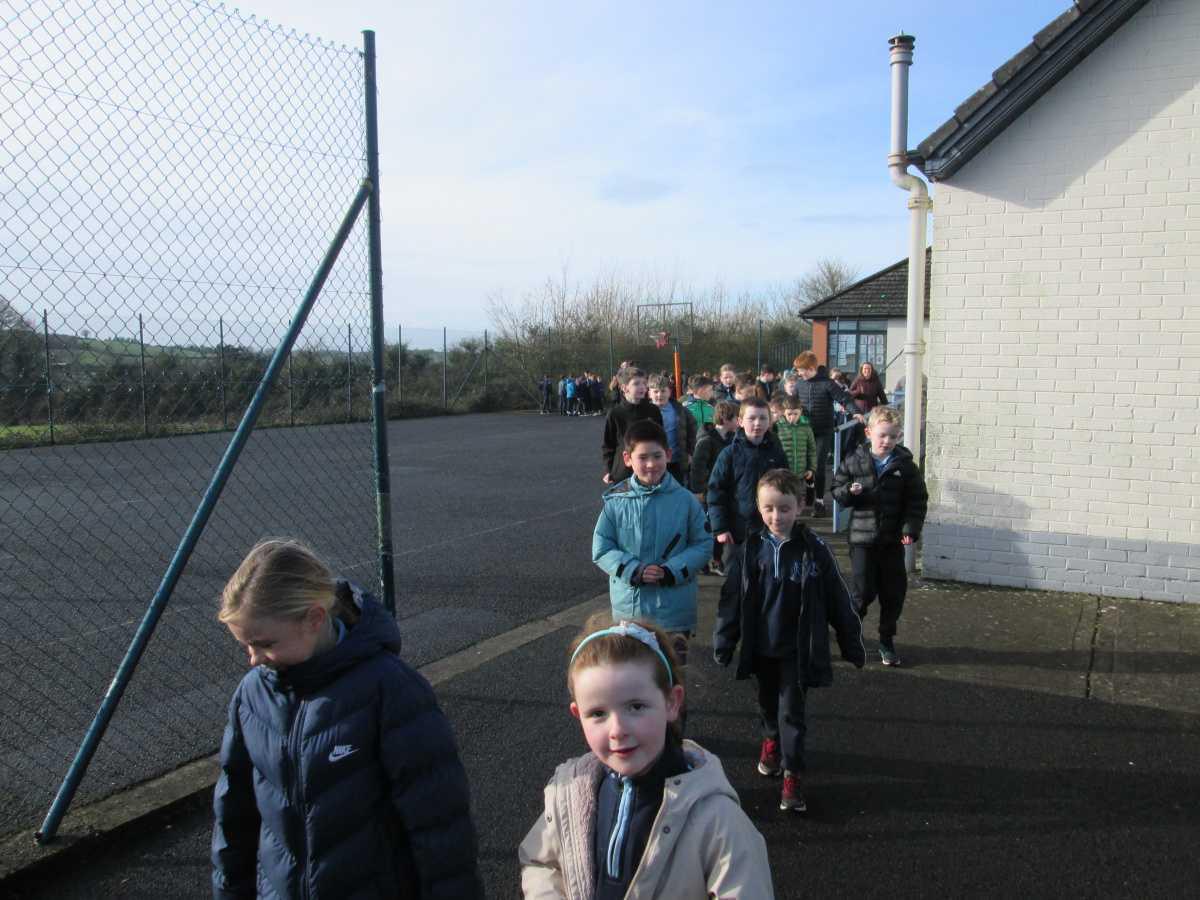 Wellness Day and Teddy Fashion Show