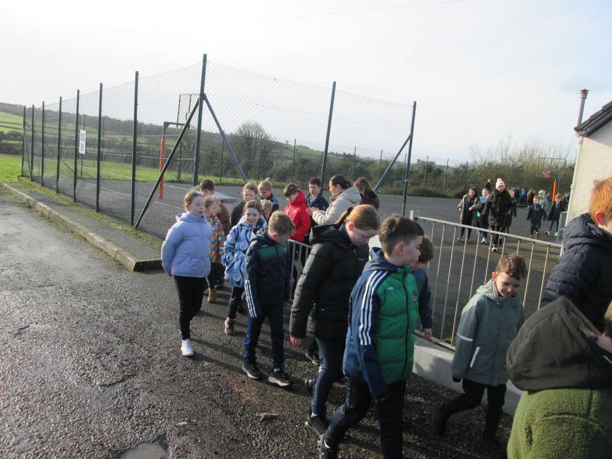 Wellness Day and Teddy Fashion Show