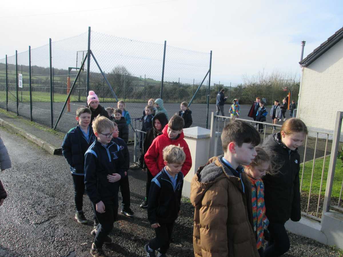 Wellness Day and Teddy Fashion Show