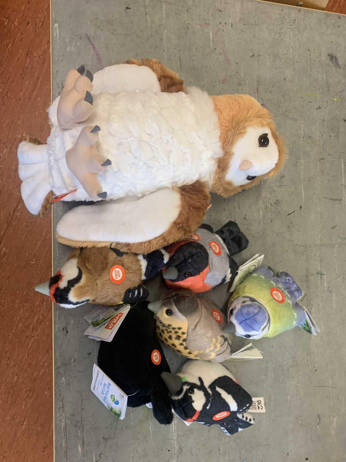 ROOT Workshop- Reaching Out to Our Trees