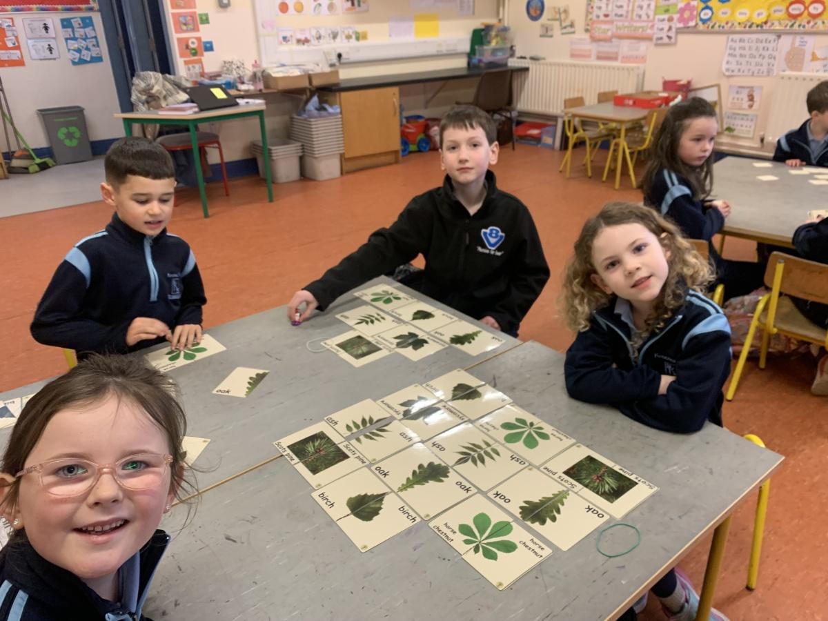 ROOT Workshop- Reaching Out to Our Trees