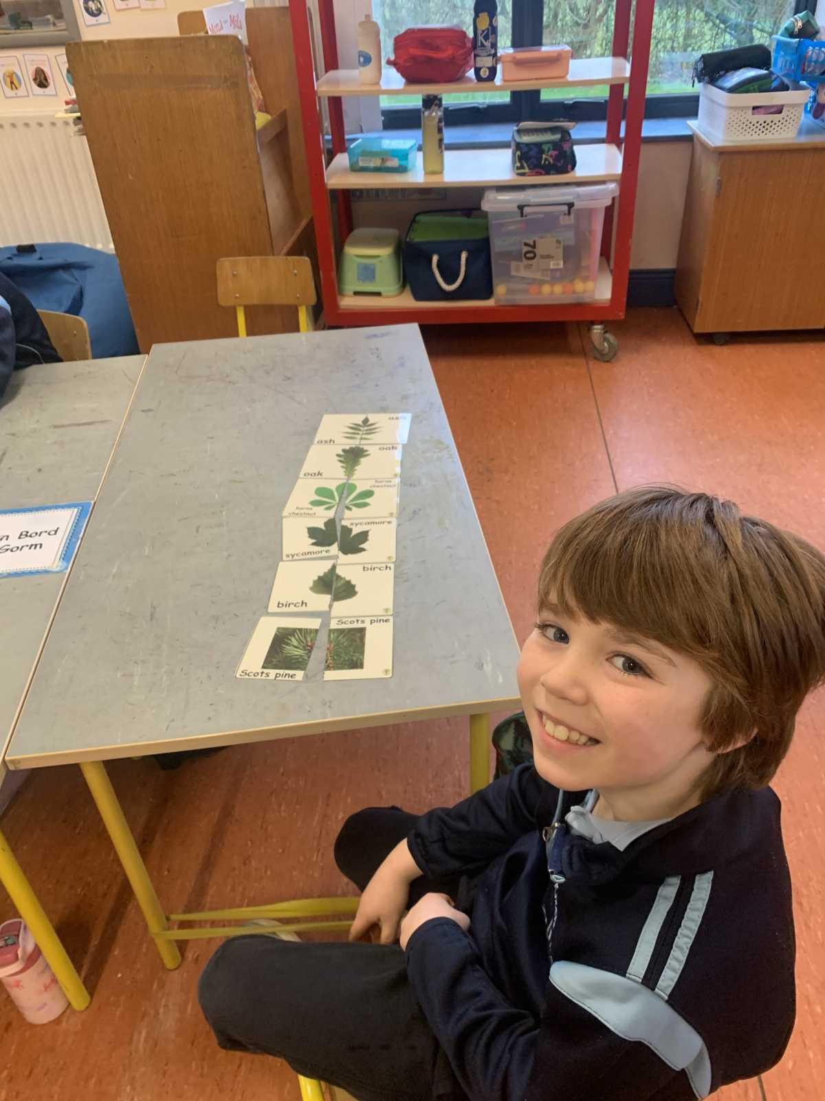 ROOT Workshop- Reaching Out to Our Trees