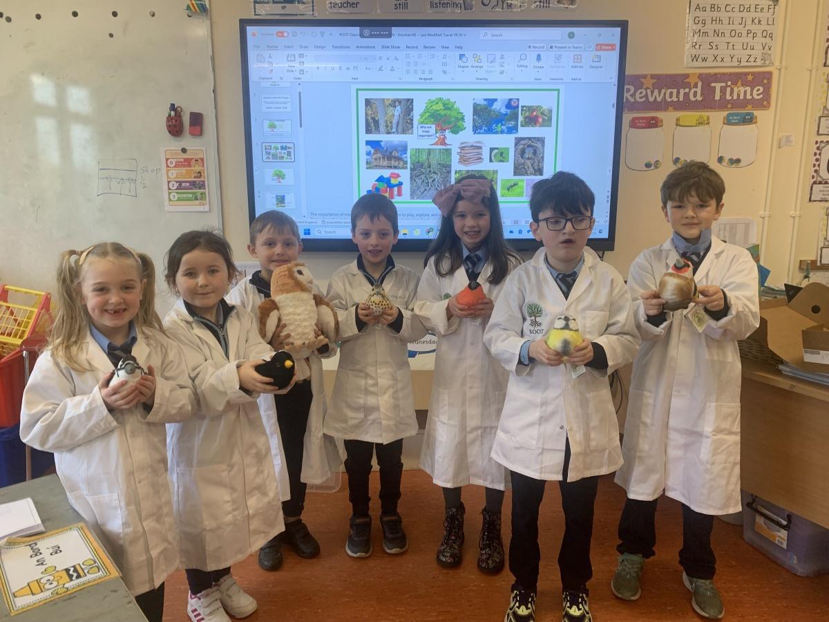 ROOT Workshop- Reaching Out to Our Trees