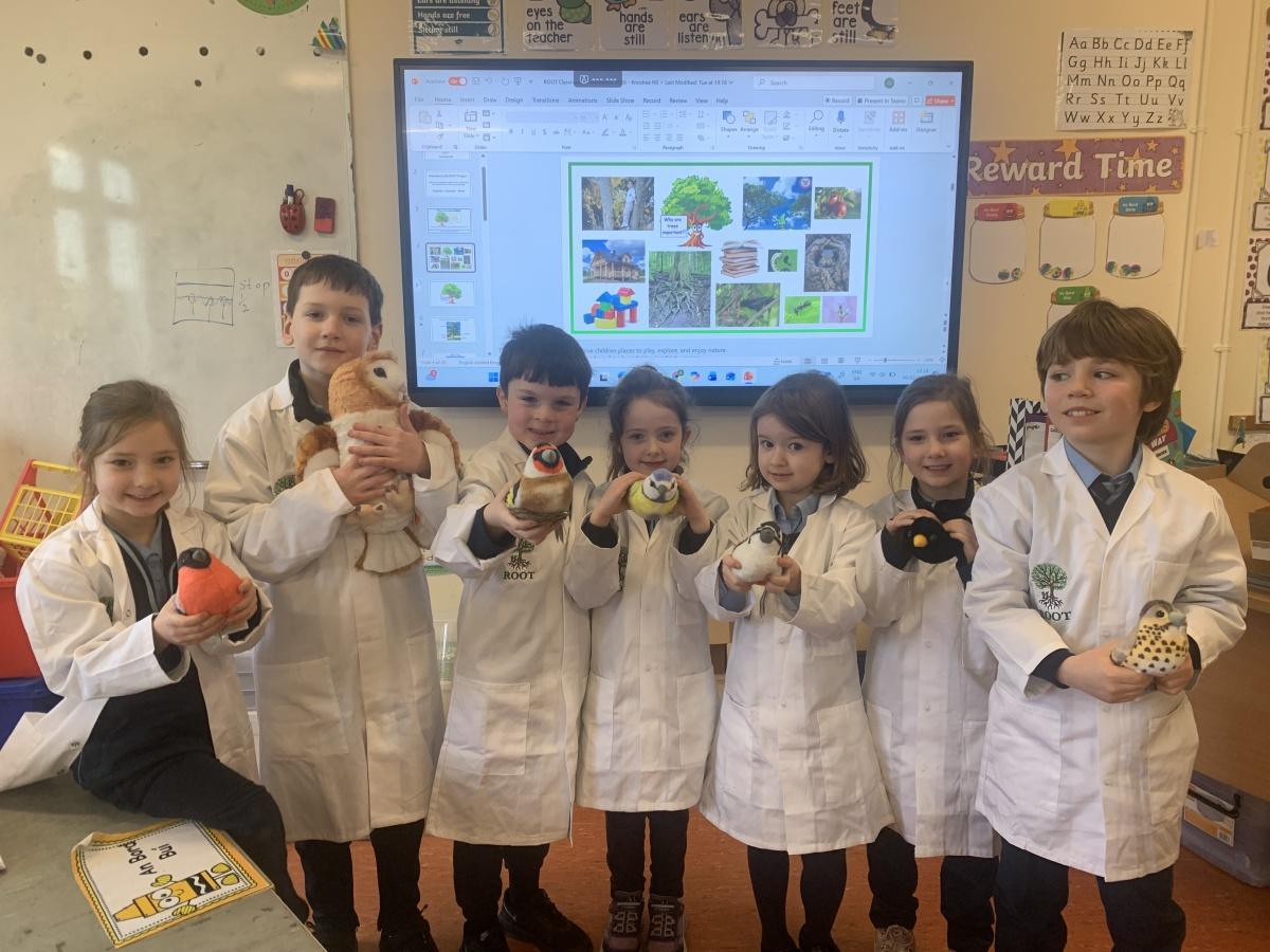 ROOT Workshop- Reaching Out to Our Trees