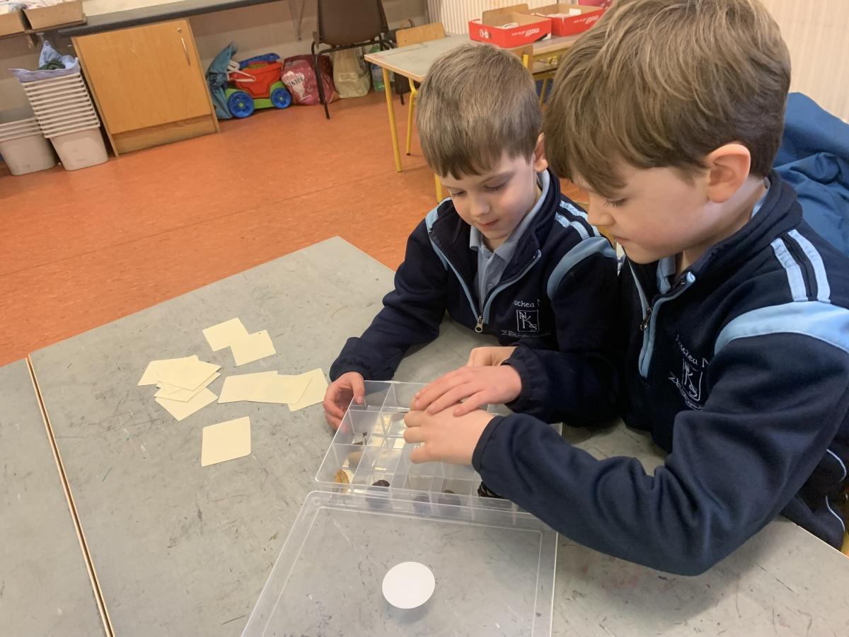 ROOT Workshop- Reaching Out to Our Trees