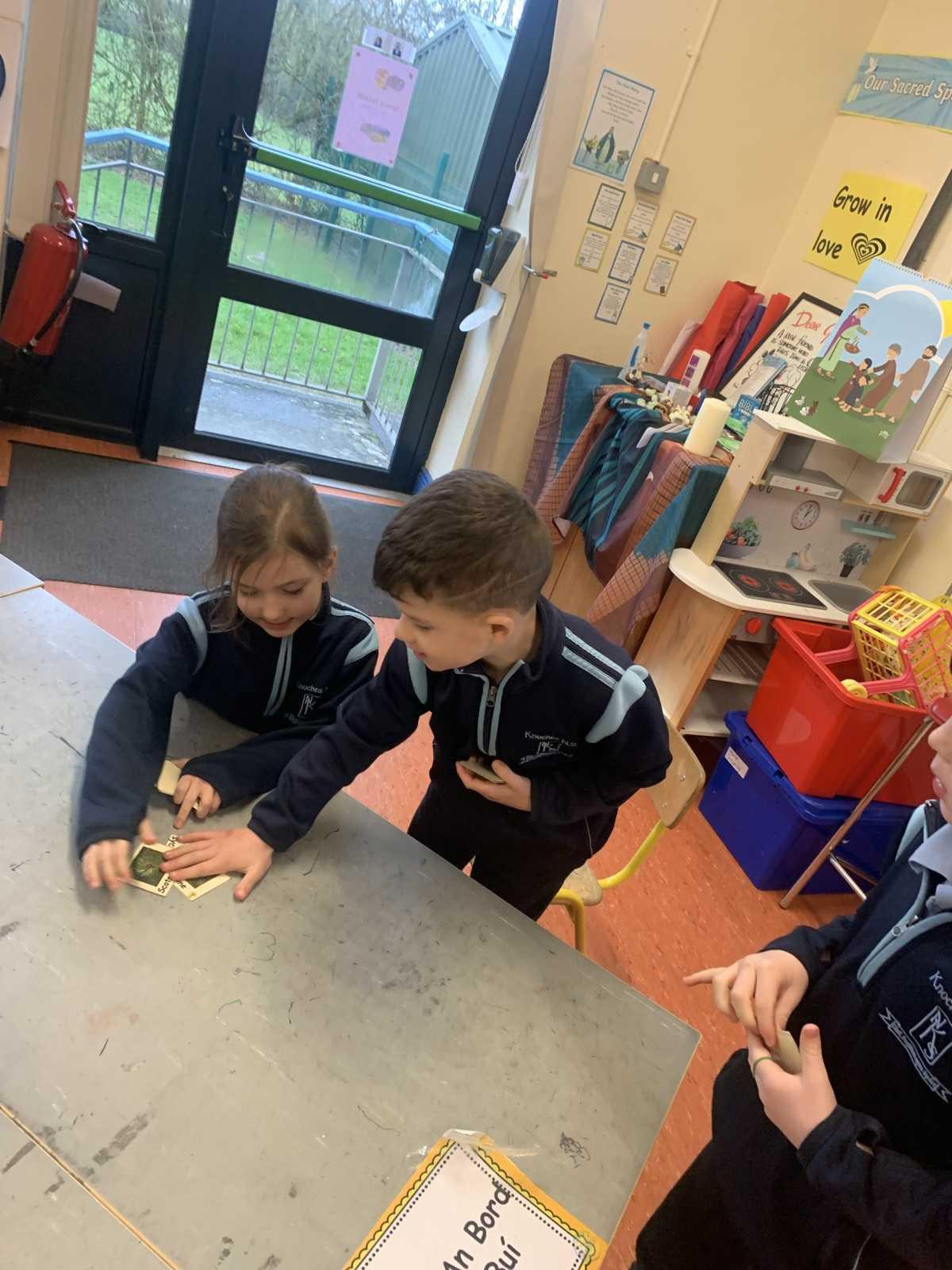 ROOT Workshop- Reaching Out to Our Trees