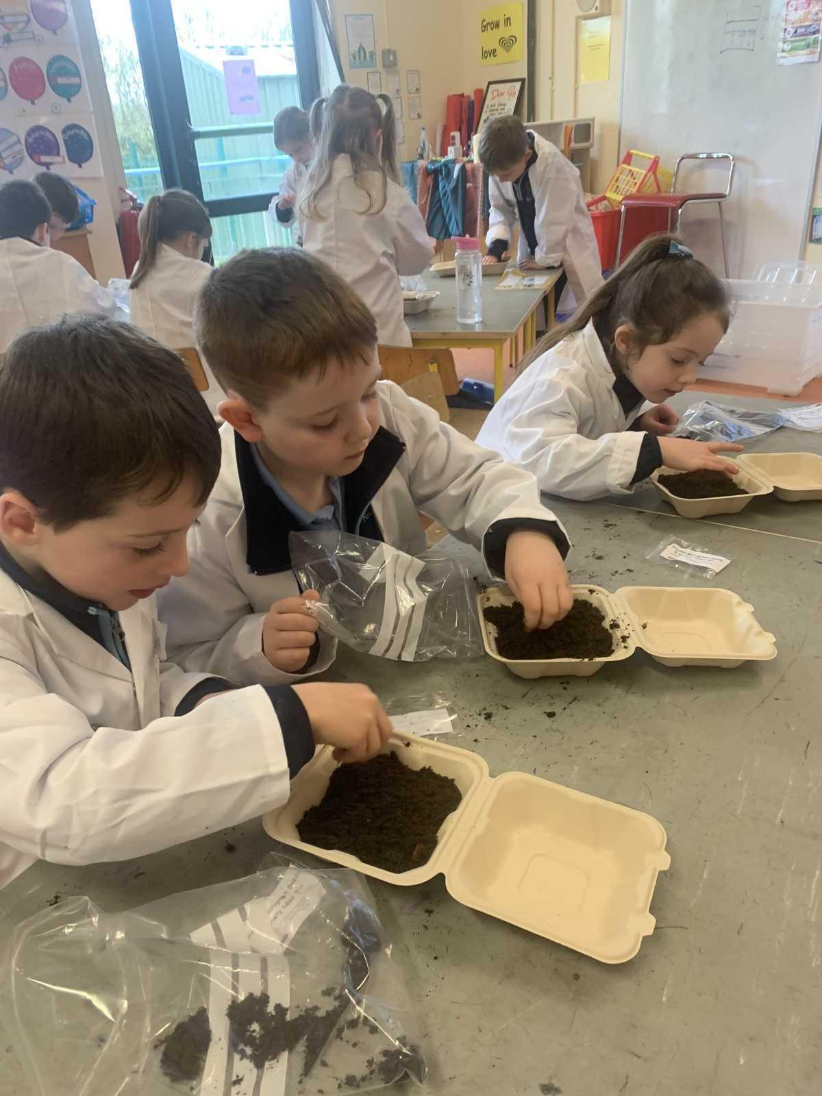 ROOT Workshop- Reaching Out to Our Trees