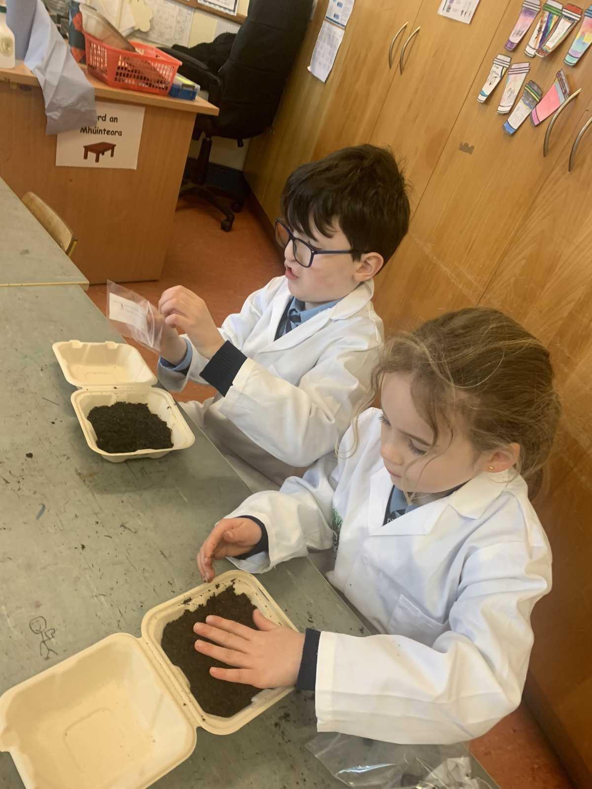 ROOT Workshop- Reaching Out to Our Trees