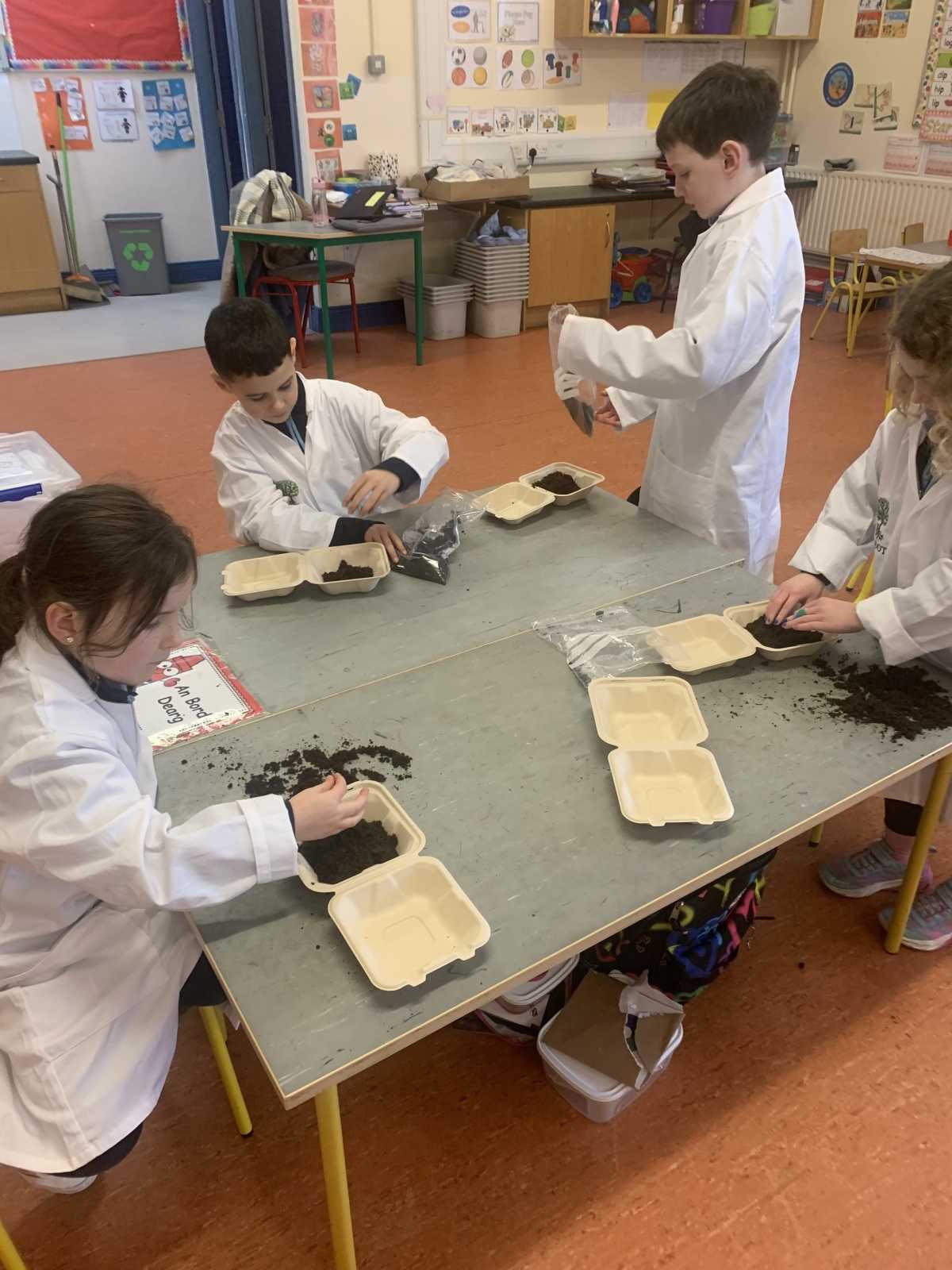 ROOT Workshop- Reaching Out to Our Trees