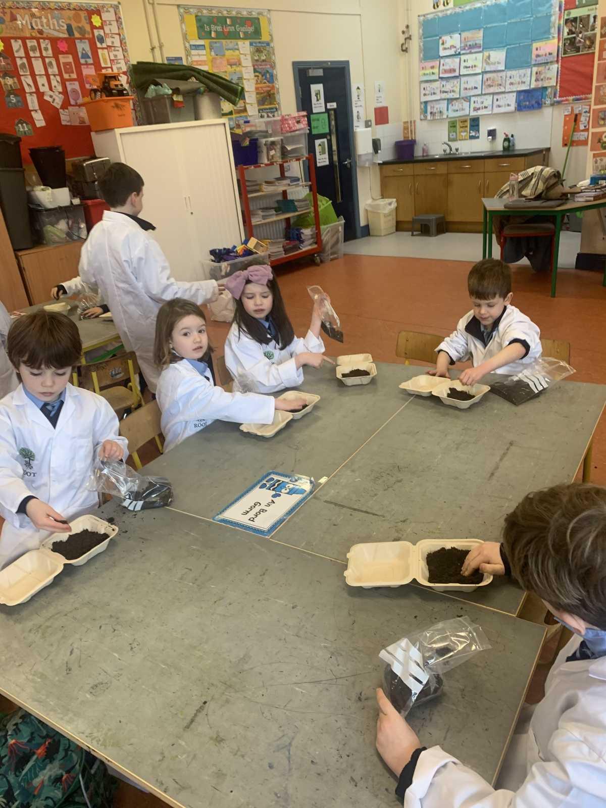 ROOT Workshop- Reaching Out to Our Trees