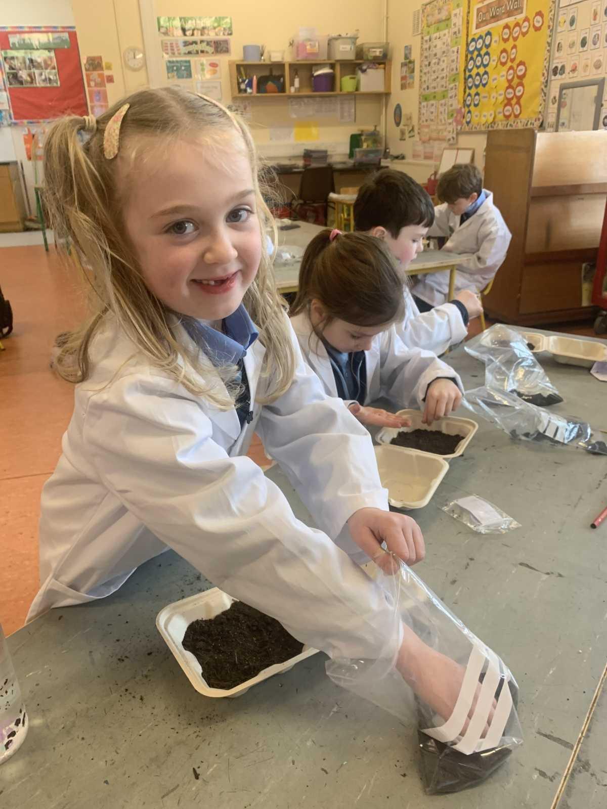 ROOT Workshop- Reaching Out to Our Trees