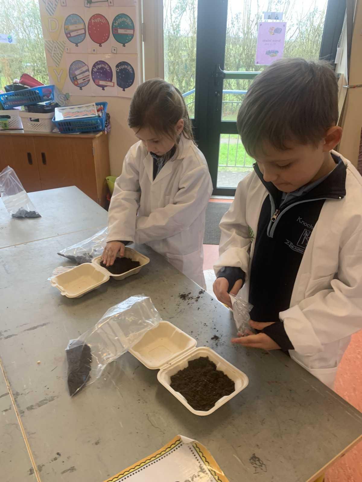 ROOT Workshop- Reaching Out to Our Trees