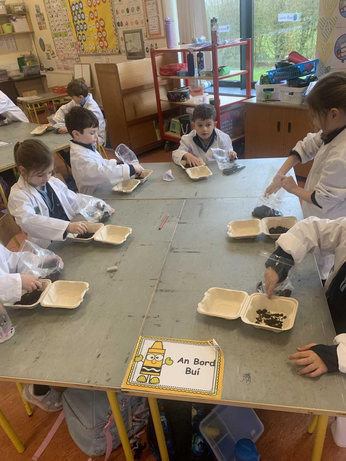 ROOT Workshop- Reaching Out to Our Trees