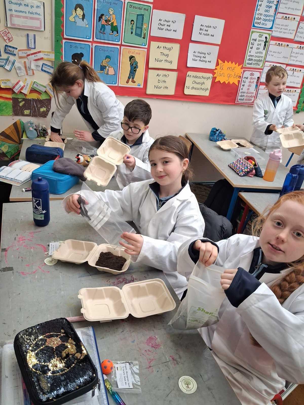 Reaching out to our Trees. ( ROOT Project)